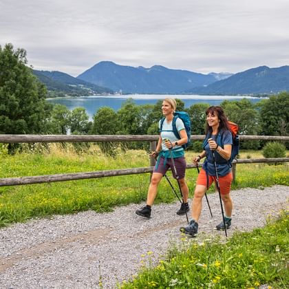 Gemütliche Wanderung entlang eines Schotterweges