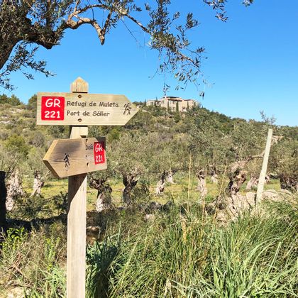 Wooden signpost for the GR 221, surrounded by olive trees and a typical finca in the background