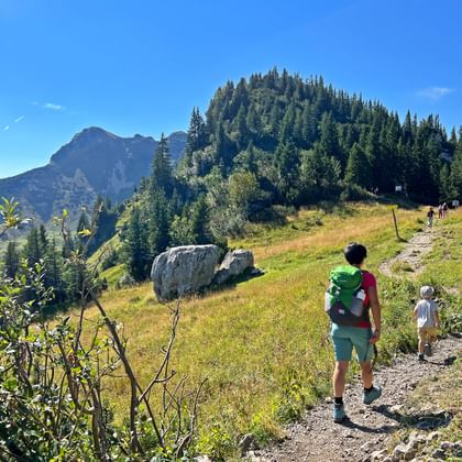 Hikers on a gravel path through an alpine meadow in Bavaria. Forested mountains and blue sky visible in the background.