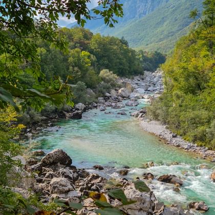 Türkisfarbener Soča-Fluss fließt durch felsiges Tal in den Julischen Alpen, eingerahmt von grünen Bäumen und Bergen im Hintergrund.