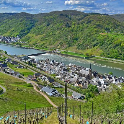 View from the vineyards to a Moselle lock and a picturesque village