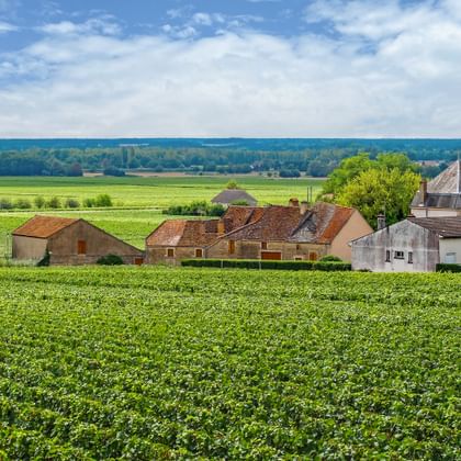 A village in the Burgundy wine region