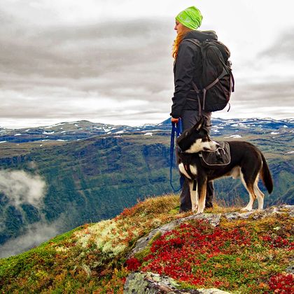 Spannende Wandererlebnisse beim Wandern mit Hund