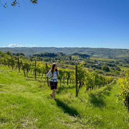 Woman hiking through vineyard rows in Panzano, Tuscany, with rolling hills and olive groves under blue sky in the background.
