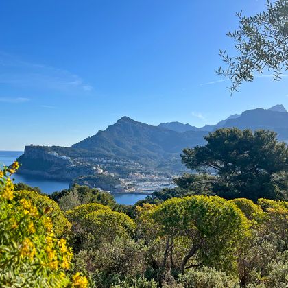 Panoramic view of Port Soller over the bushes