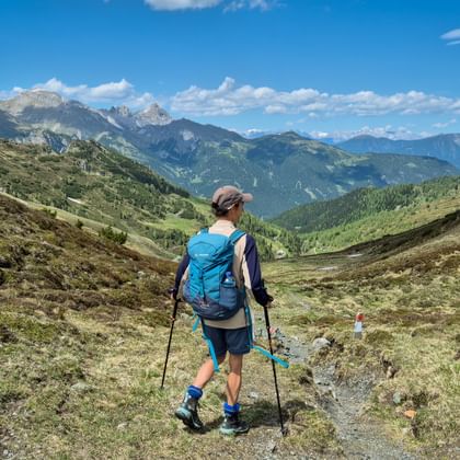 Wanderin im Gschnitztal mit Panoramablick