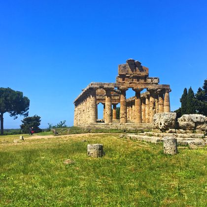 Die Ruine des Tempels Paestum