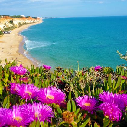 Bunte Blumen und feine Strände beim Wandern an der Algarveküste