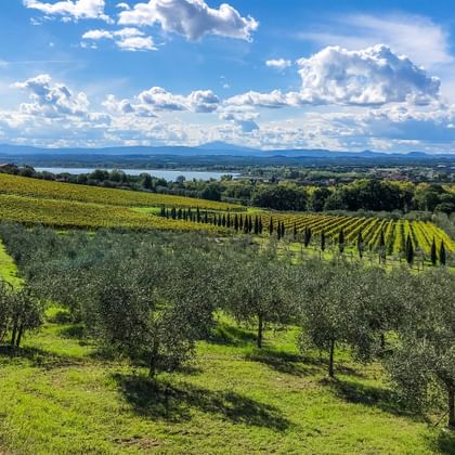Umbrien Franziskusweg mit Blick auf Trasimener See