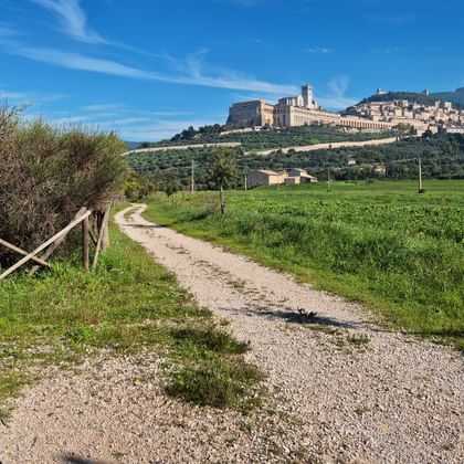 Panoramablick auf Assisi