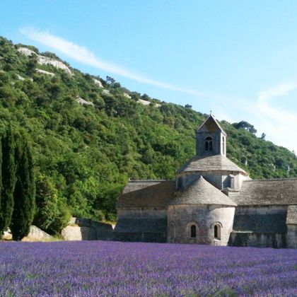 Lavendelfelder vor dem Kloster Sénanque