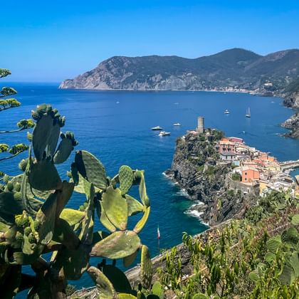 Vernazza village in Cinque Terre on rocky peninsula with colorful houses and tower, framed by agave plants. Blue Mediterranean Sea and mountains visible.