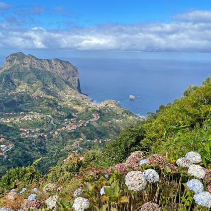 Panoramic view of Madeira's north coast with white and pink hydrangeas in foreground, green mountains, villages, and blue ocean.