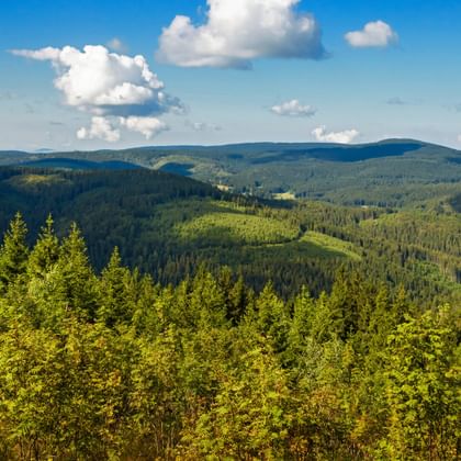 View of the Thuringian Forest