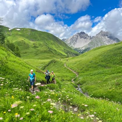 Hikers on an alpine meadow from Steeg to Landeck