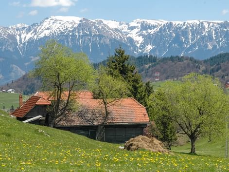 rumänische Hütte mit Bergpanorama