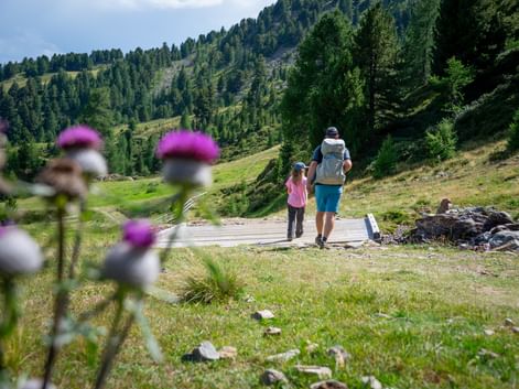 Family hike through green mountain scenery on the Lechweg trail