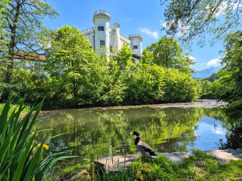 Pond in front of Marzoll Castle in Bad Reichenhall
