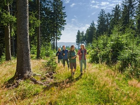Rennsteig hikers in the Thuringian Forest