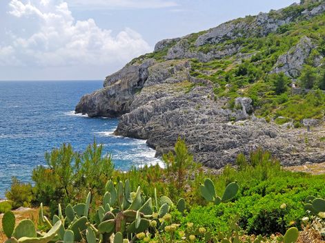Felsenküste Apulien