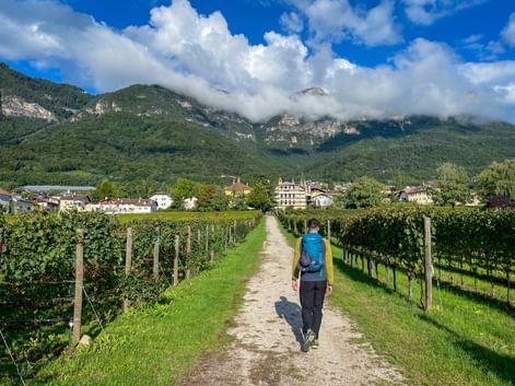 Hiker with blue backpack walking on gravel path between vineyards near Kaltern, with mountains and village in background under cloudy sky.