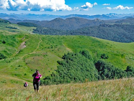 Wandern durch die grünen Hochebenen der Bjelasica Berge