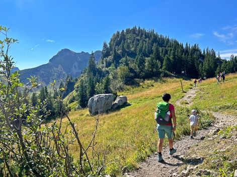 Wanderer auf einem Bergweg in Bayern mit Almwiesen, bewaldeten Gipfeln und blauem Himmel. Ein Kind läuft hinter einem Erwachsenen mit Rucksack.