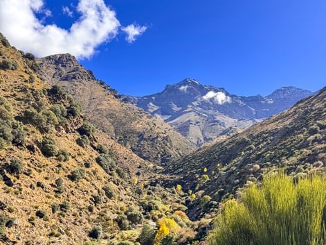 Malerisches Bergtal in den Alpujarras mit felsigen Hängen, vereinzelter Vegetation und schneebedeckten Gipfeln unter blauem Himmel.