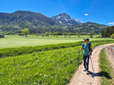 Hiker along green meadows
