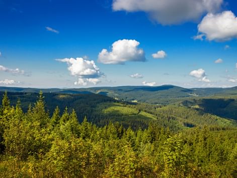Panorama in the Thuringian Forest
