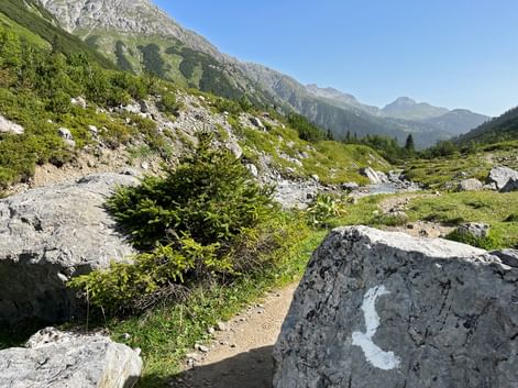 Weiße Wegmarkierung auf Felsen entlang des Lechwegs, mit Alpenbergen, grünen Wiesen und einem Bach im Hintergrund.