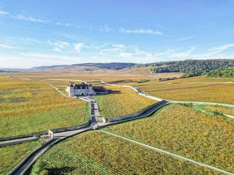 Schloss im Weinberg "Clos de Vougeot"