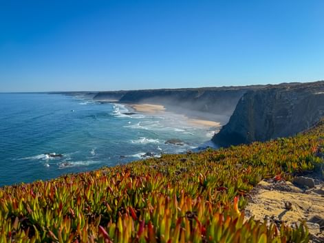 Dramatic cliffs at Ponta da Atalaia with colorful succulent plants in foreground, overlooking sandy beach and turquoise Atlantic Ocean.