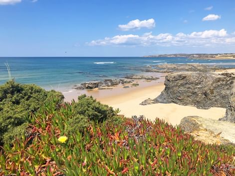 Bunte Küstenpflanzen mit gelben Blüten mit Blick auf einen Sandstrand mit Felsformationen und türkisfarbenem Meer entlang der Rota Vicentina.