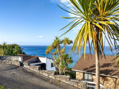 Blick auf Palme und Meer