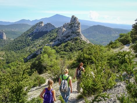 Hikers on the hiking trail in Provence