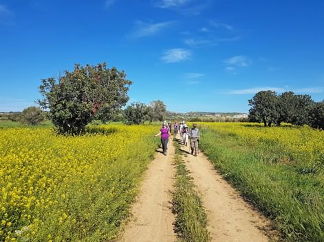 Wanderer in Blumenlandschaft auf Zypern