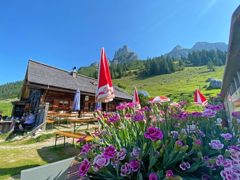 Stuhlalm on the Gosaukamm