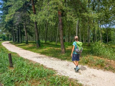 Wanderin auf Schotterweg mit Bäumen
