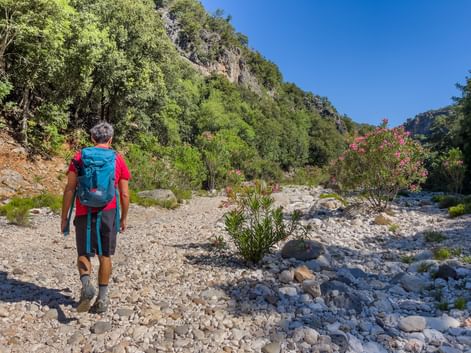 Wanderer auf dem Kiesweg Wanderer auf dem Kiesweg