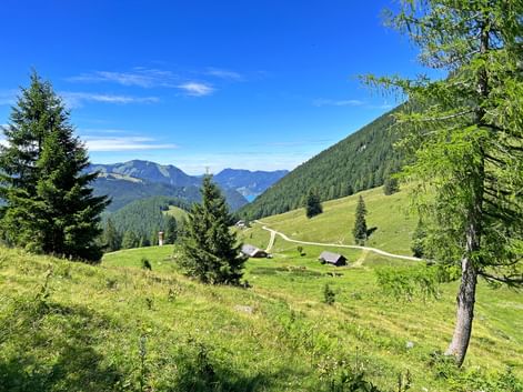 Alpine landscape in the Salzkammergut
