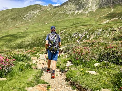 Hikers in a beautiful valley in the Vinschgau Valley