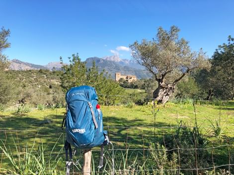Eurohike Rucksack im Olivengarten einer typischen Finca
