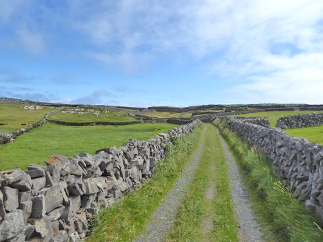 Wanderroute Irlands Western Way