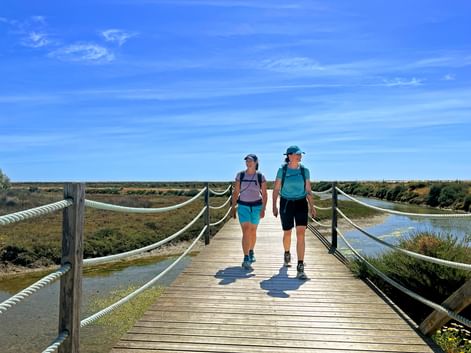 Wanderinnen auf dem Weg zum nächsten Etappenziel