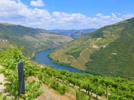 Gepflegte Wanderpfade entlang dem Fluss Douro