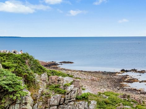 Meerblick auf das Naturreservat Hovs Hallar