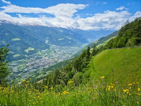 Meraner Höhenweg mit Ausblick auf Naturns