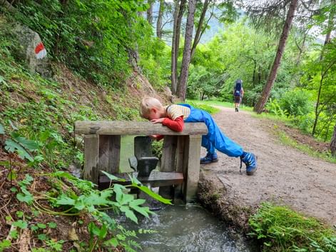 Child discovers the stream on the hiking trail in Merano