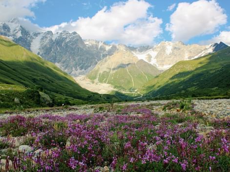 Der Berg "Schkhara" in der Region Swanetien